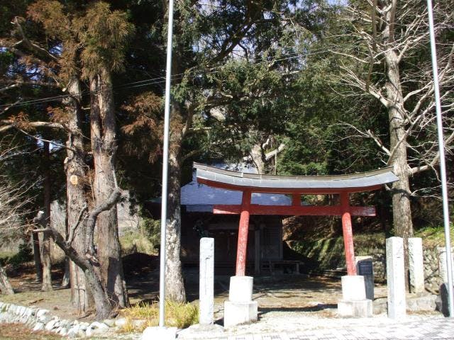 頼政神社のトチノキ