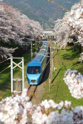 【2021年開催中止】やまきた桜まつり