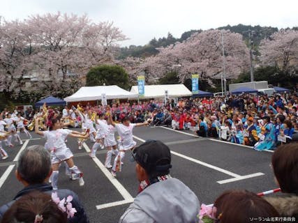 中止 西丹沢もみじ祭り アソビュー