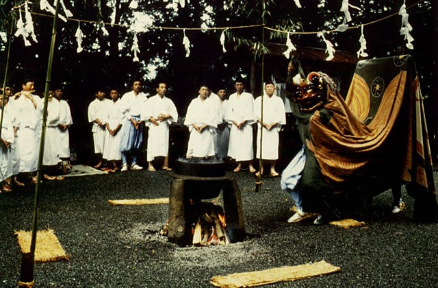 スポットの写真