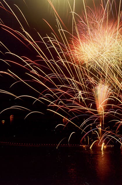 スポットの写真