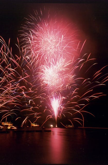 スポットの写真