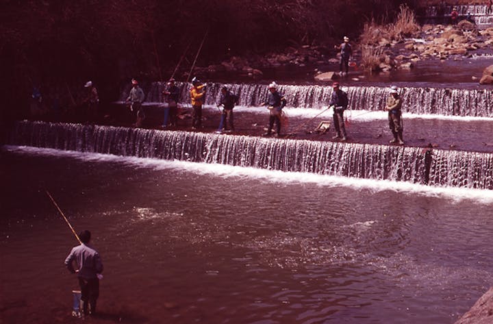宮城野国際マス釣場