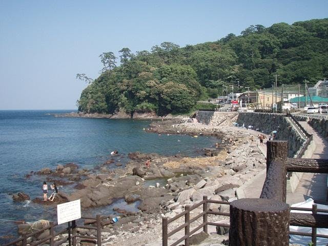 琴ケ浜海岸