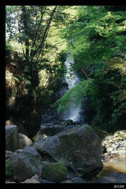 スポットの写真