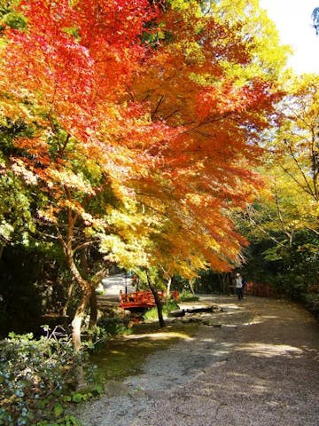 万葉公園 アソビュー