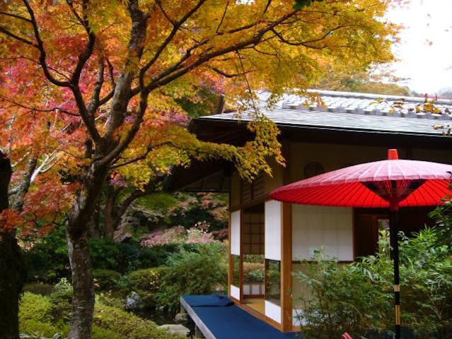 湯河原温泉「池峯もみじの郷とお茶室」