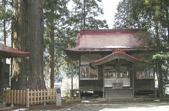 青根諏訪神社の大スギ