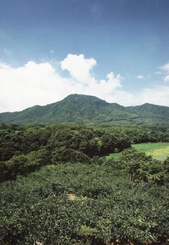 角田山