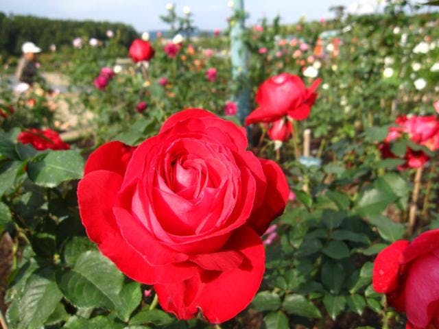 スポットの写真