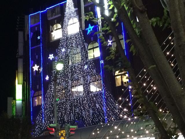 スポットの写真