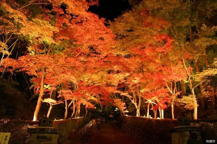 松雲山荘紅葉ライトアップ