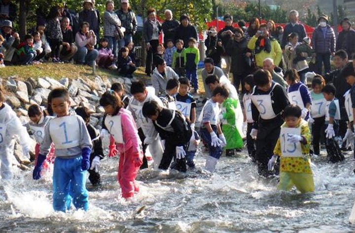 さけ豊漁まつり