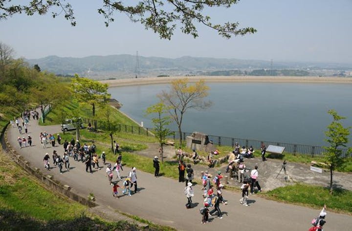 信濃川河岸段丘ウォーク