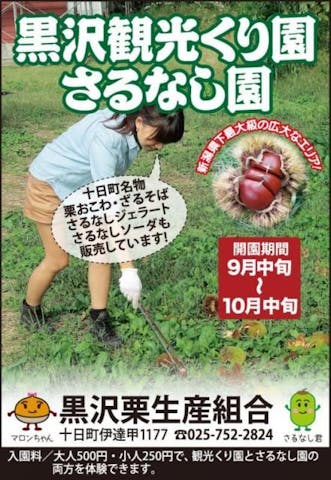 黒沢観光栗園