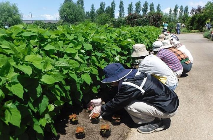 みつけイングリッシュガーデン「春のボランティア植栽会」