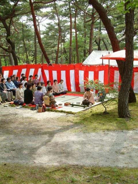スポットの写真