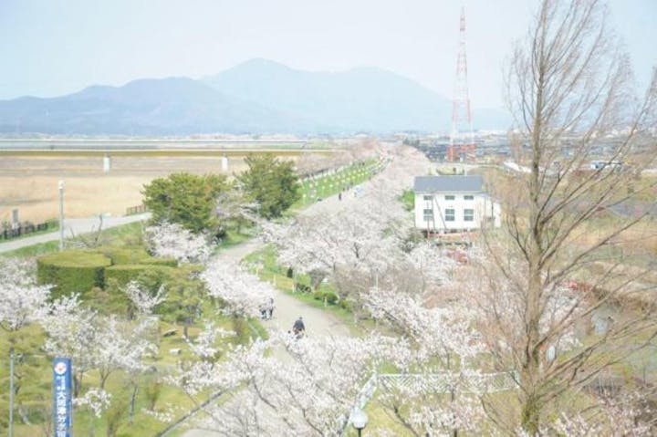 2021つばめ桜まつり