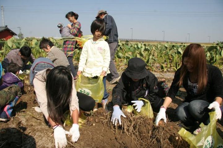 第34回五泉市さといもまつり【開催中止】