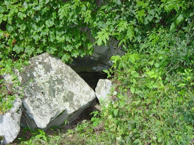 スポットの写真