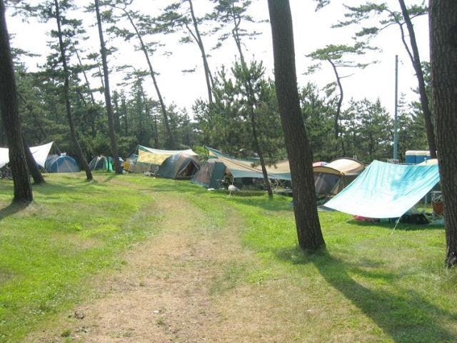 大潟キャンプ場