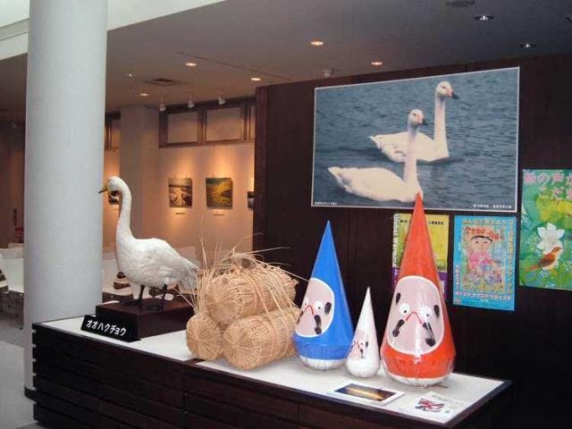 白鳥の里（白鳥資料館）