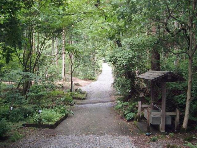阿賀野市五頭薬用植物園