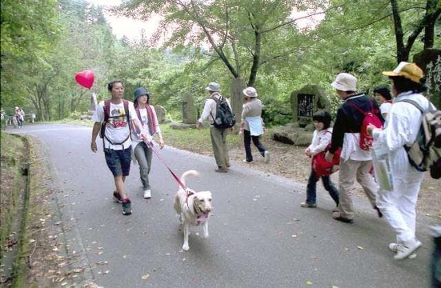 スポットの写真