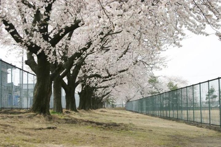 胎内市総合グラウンド