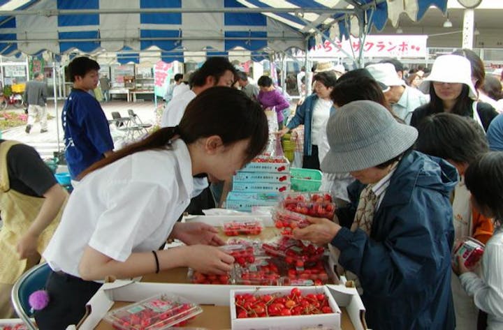 聖籠さくらんぼまつり