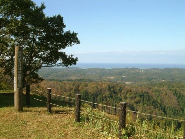 小木城跡の樹叢