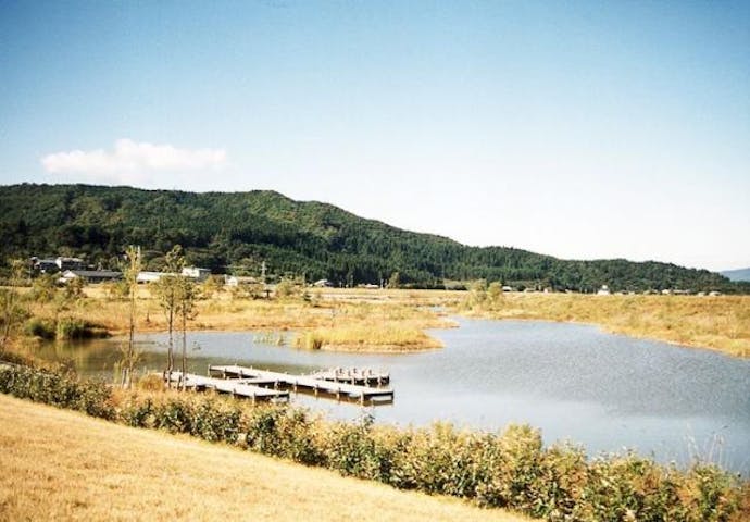 ふるさとトンボ池