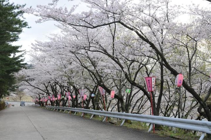 宮野山桜まつり