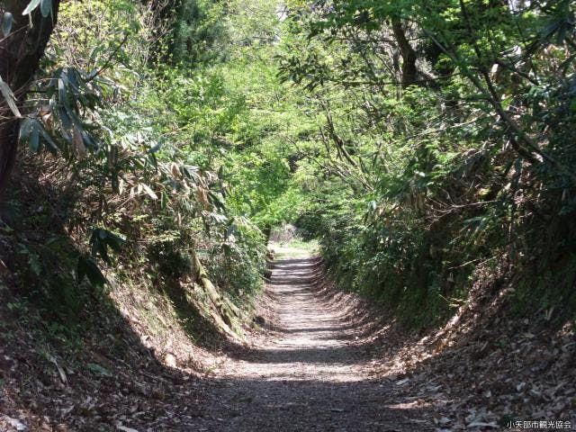 倶利伽羅源平ラインハイキングコース