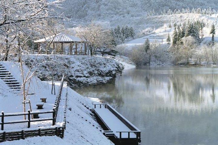 ゆ〜ゆうランド・花椿