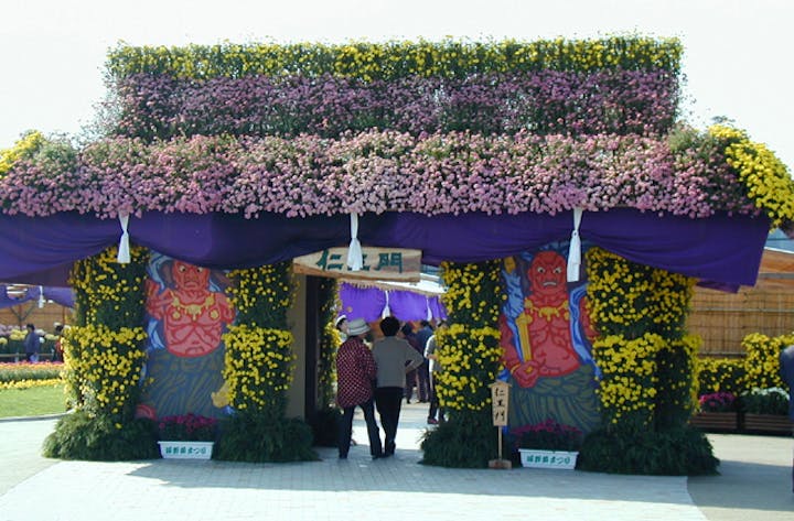 【2021年開催中止】南砺菊まつり