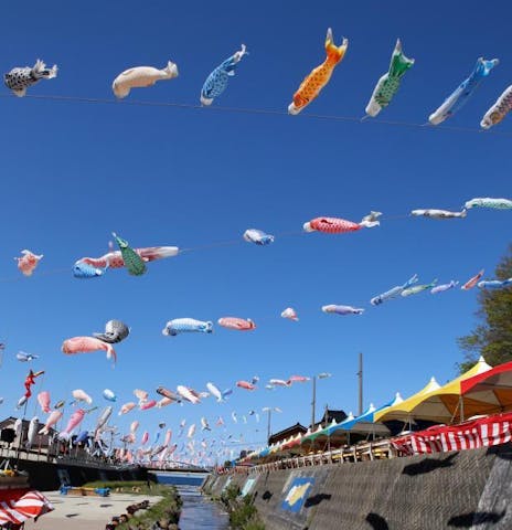 大谷川鯉のぼり川渡し
