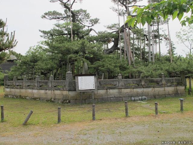 スポットの写真