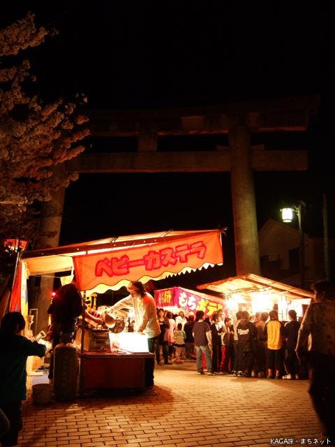 スポットの写真