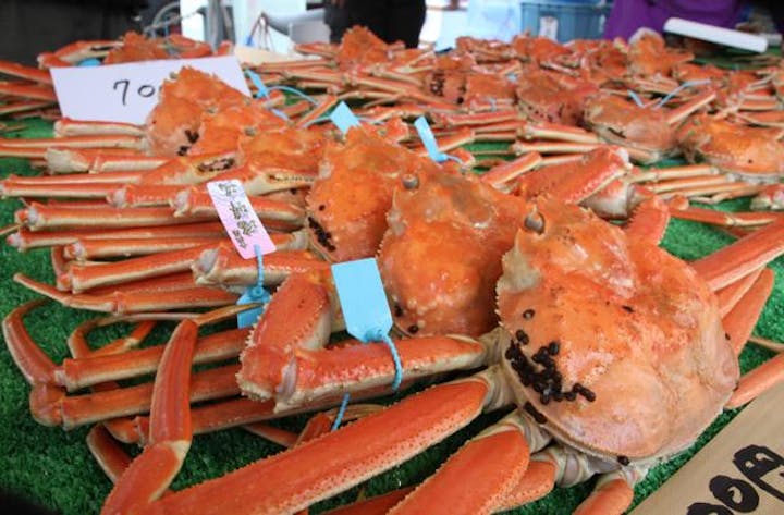 【2021年中止】かほく四季まつり「かにカニ合戦 海の幸・山の幸まつり」