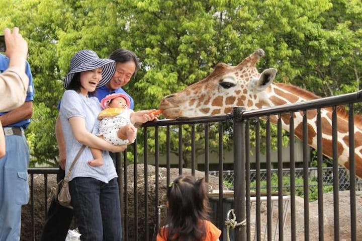 いしかわ動物園