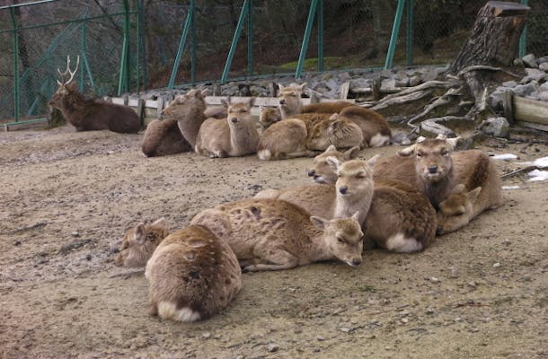 石川県森林公園 森林動物園【アソビュー！】