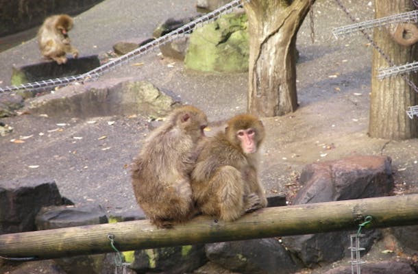 石川県森林公園 森林動物園【アソビュー！】