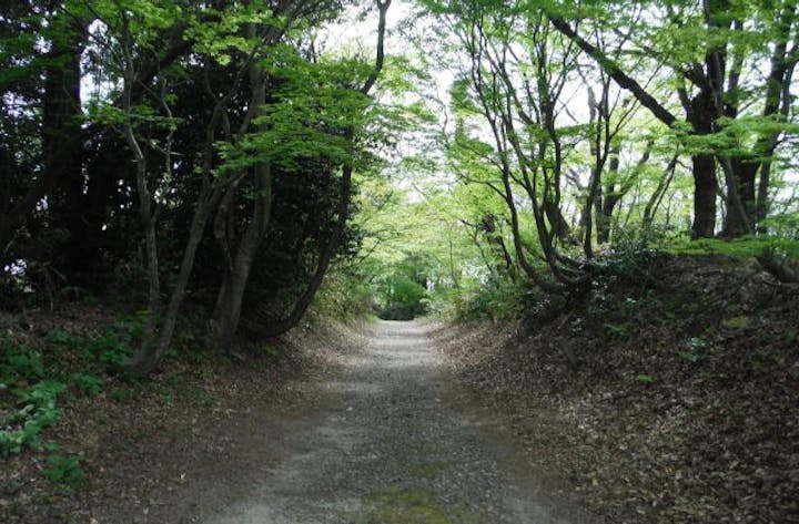 歴史国道「北陸道 倶利伽羅峠」