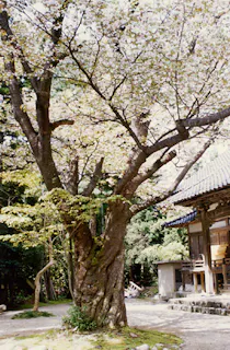 焼肉旬菜 牛太郎 アソビュー