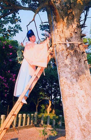 諏訪神社「鎌打ち神事」