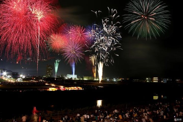 福井フェニックスまつり