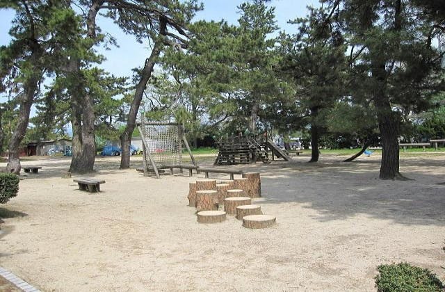 スポットの写真