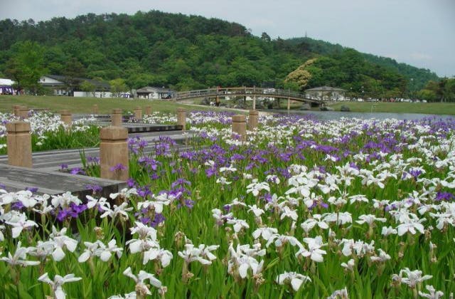 スポットの写真