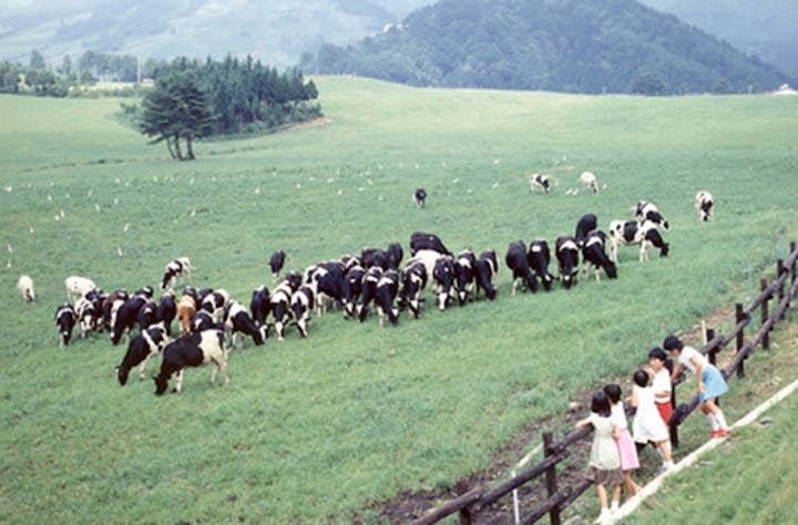 福井県奥越高原牧場